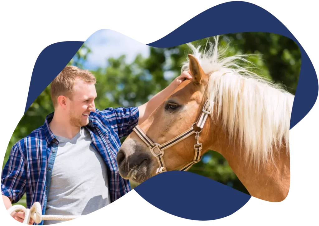 benefits of equine therapy at Louisville recovery