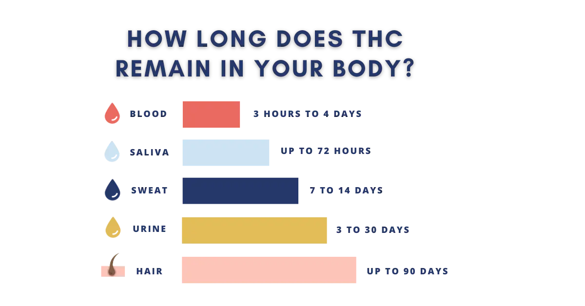 how long does THC remain in your body