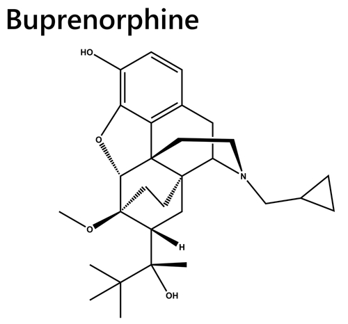 Buprenorphine is a partial opioid agonist, binding to the body's opioid receptors. It mimics the effects of natural opioids produced by the body, such as endorphins, and produces pain relief, euphoria, and other opioid-like effects. 